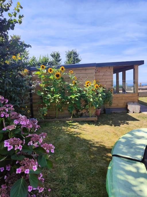 Little Swelle Cabin With Awesome Sea Views Poundstock Eksteriør bilde